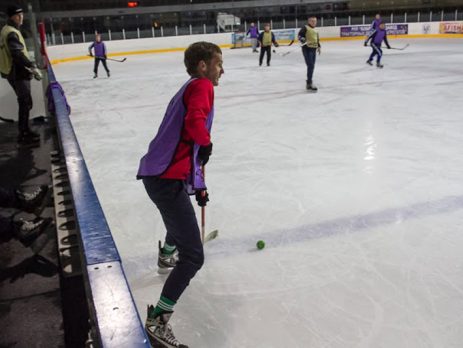 Хоккейные коробки: виды и особенности материалов