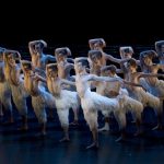 Сценическое покрытие GraboShow Duett